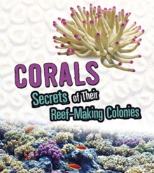 Amazing Animal Colonies Pack A of 4