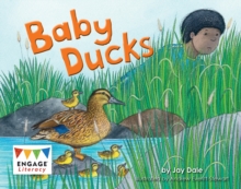 Image for Baby Ducks
