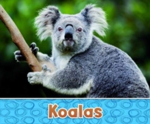 Australian Animals Pack A of 2