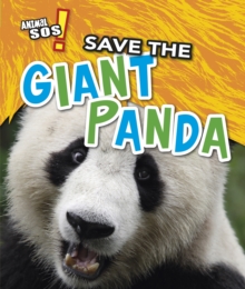 Image for Save the Giant Panda