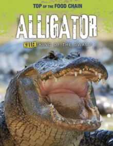 Image for Alligator  : killer king of the swamp