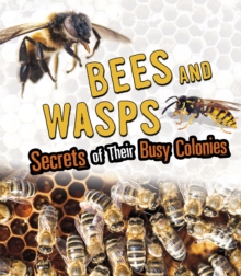 Image for Bees And Wasps