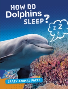 Image for How Do Dolphins Sleep?