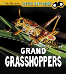 Image for Grand Grasshoppers
