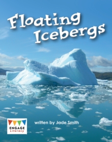 Image for Floating icebergs