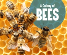Image for A Colony of Bees