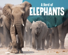 A Herd of Elephants