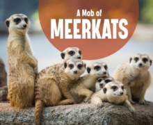 Image for A mob of meerkats