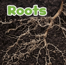 Image for Roots