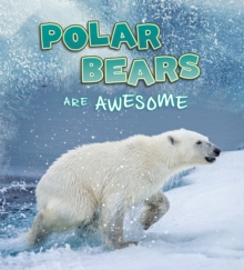 Image for Polar bears are awesome