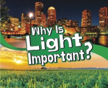 Image for Why Is Light Important?