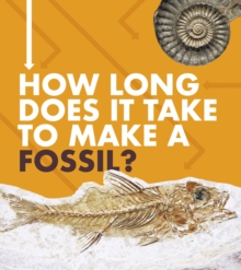 Image for How long does it take to make a fossil?
