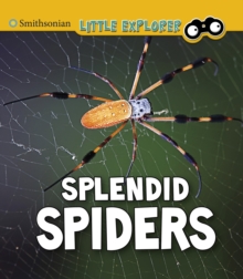 Image for Splendid Spiders