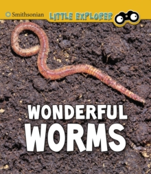 Image for Wonderful Worms