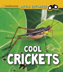 Image for Cool crickets