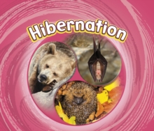 Image for Hibernation