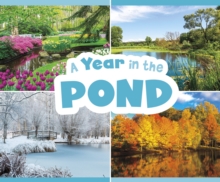 Image for A year in the pond