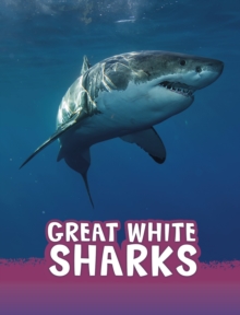 Image for Great white sharks