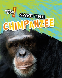 Image for Save the chimpanzee