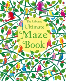 Image for Ultimate Maze Book