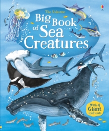 Image for The Usborne big book of sea creatures