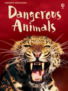 Image for Dangerous Animals: Usborne Beginners