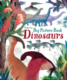 Image for Big Picture Book Dinosaurs