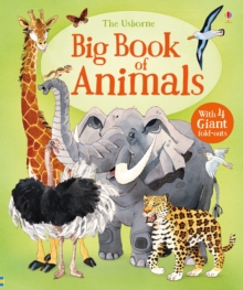 Image for The Usborne big book of animals