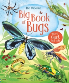 Image for The Usborne big book of bugs