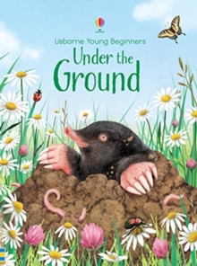 Image for Under the ground