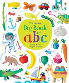 Image for The Usborne big book of abc