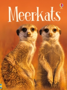 Image for Meerkats