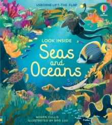 Image for Look Inside Seas and Oceans
