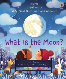 Image for What is the moon?