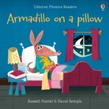 Image for Armadillo on a pillow