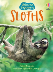 Image for Sloths