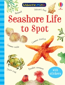 Image for Seashore Life to Spot