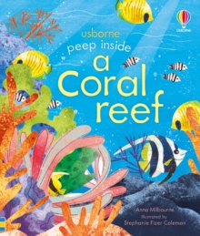 Image for A coral reef