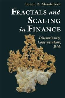 Image for Fractals and scaling in finance: discontinuity, concentration, risk
