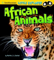 Image for African animals