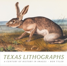 Image for Texas lithographs  : a century of history in images