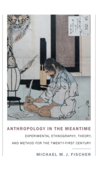 Image for Anthropology in the Meantime