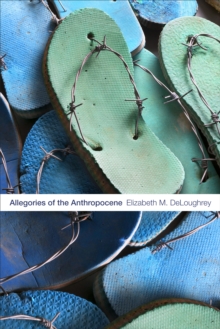 Image for Allegories of the Anthropocene