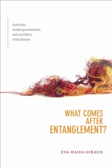 Image for What Comes after Entanglement?