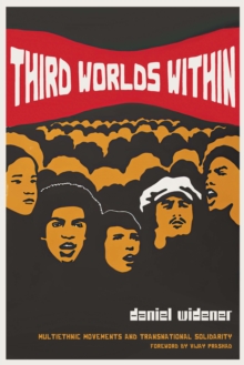 Image for Third worlds within: multiethnic movements and transnational solidarity