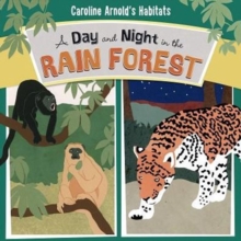 Image for A Day and Night in the Rain Forest