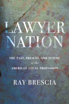 Image for Lawyer nation  : the past, present, and future of the American legal profession