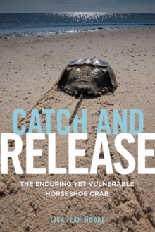 Image for Catch and release: the enduring yet vulnerable horseshoe crab
