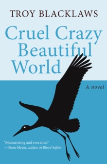 Image for Cruel Crazy Beautiful World: A Novel