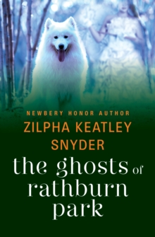 Image for The Ghosts of Rathburn Park